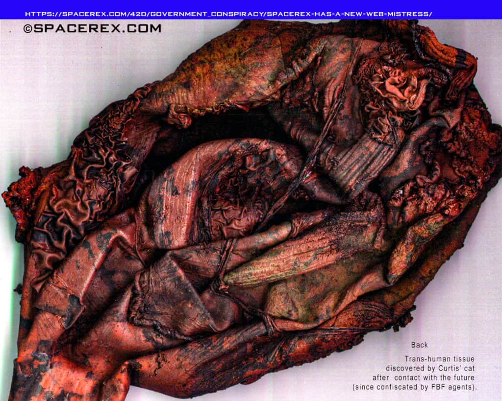 A complex bit of tissue or viscera. Caption: "FBack: Trans-human tissue found by Curtis' cat after contact with the future. (since confiscated by FBF agents)" 