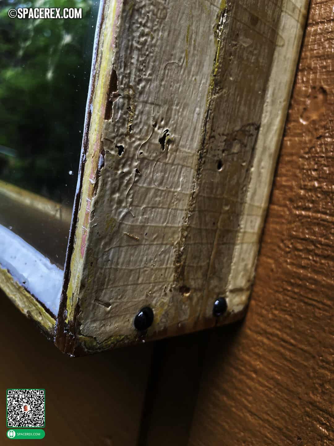 corner detail of reclaimed wooden art frame featuring antique slotted screws and flaking paint, shellacked to a shiny goodness